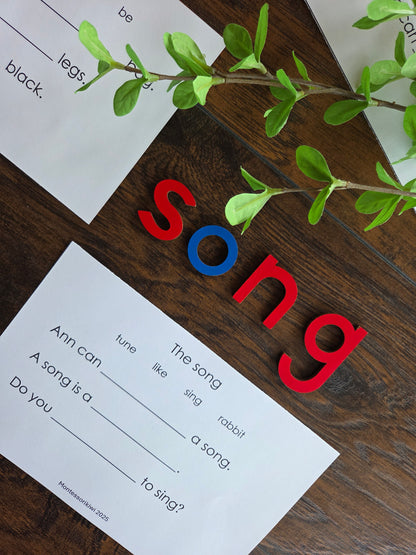 Modern Montessori Reading SOR simple reading comprehension fill in gaps  (literacy)