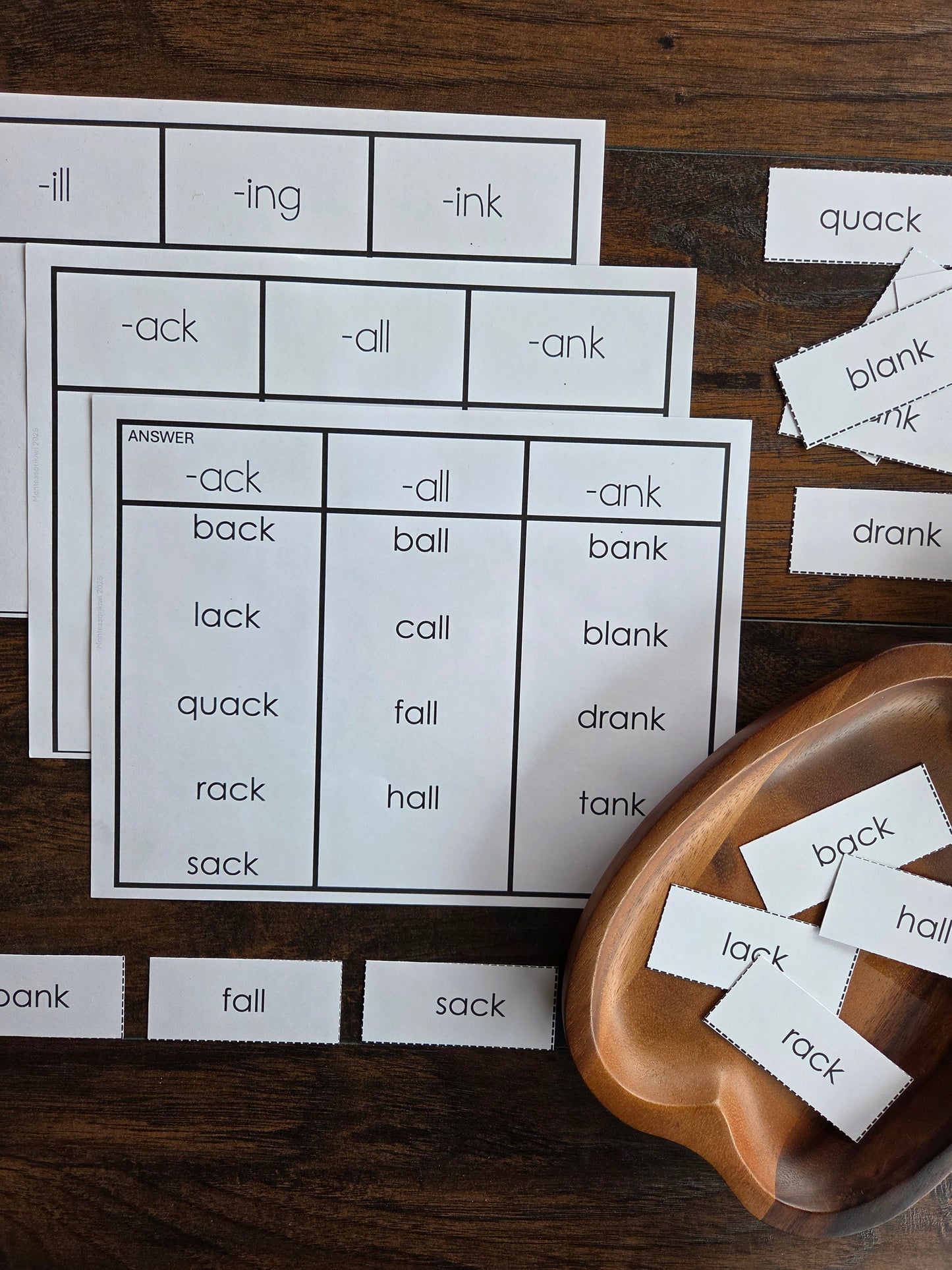 Word Family Sorting Cards | Montessori Science of Reading Phonics Activity