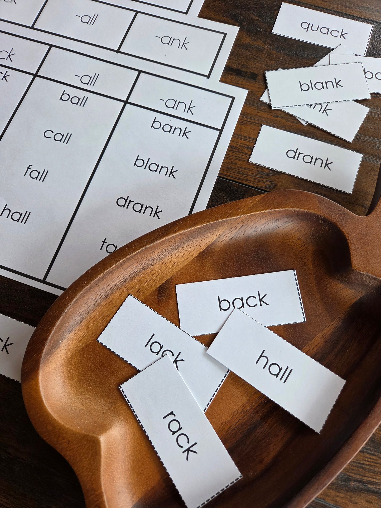 Word Family Sorting Cards | Montessori Science of Reading Phonics Activity