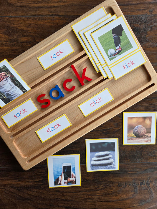Modern Montessori Reading SOR Word Family Sorting (literacy)