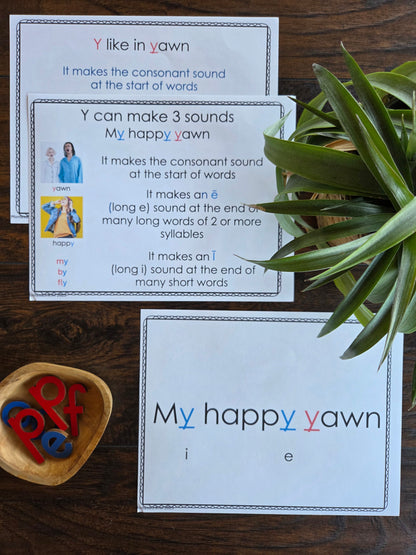Modern Montessori Reading SOR Y makes 3 sounds posters  (literacy)