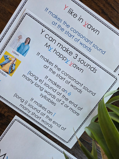 Modern Montessori Reading SOR Y makes 3 sounds posters  (literacy)