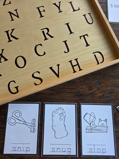 Modern Montessori Reading SOR CCVC Booklets (literacy)