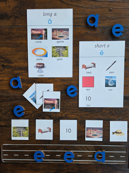 Modern Montessori Reading SOR Short and Long Vowel Aural Sorting Activity  (literacy)