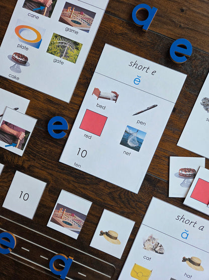 Modern Montessori Reading SOR Short and Long Vowel Aural Sorting Activity  (literacy)