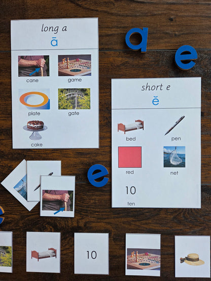 Modern Montessori Reading SOR Short and Long Vowel Aural Sorting Activity  (literacy)