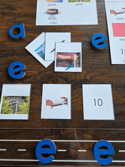 Modern Montessori Reading SOR Short and Long Vowel Aural Sorting Activity  (literacy)