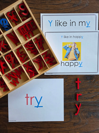 Modern Montessori Reading SOR Y makes 3 sounds activities  (literacy)