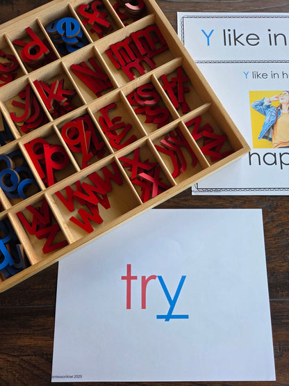 Modern Montessori Reading SOR Y makes 3 sounds activities  (literacy)