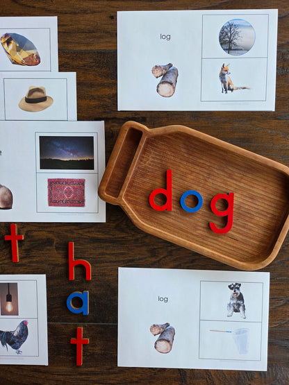 Modern Montessori Reading - Rhyming clip and flip cards (literacy)