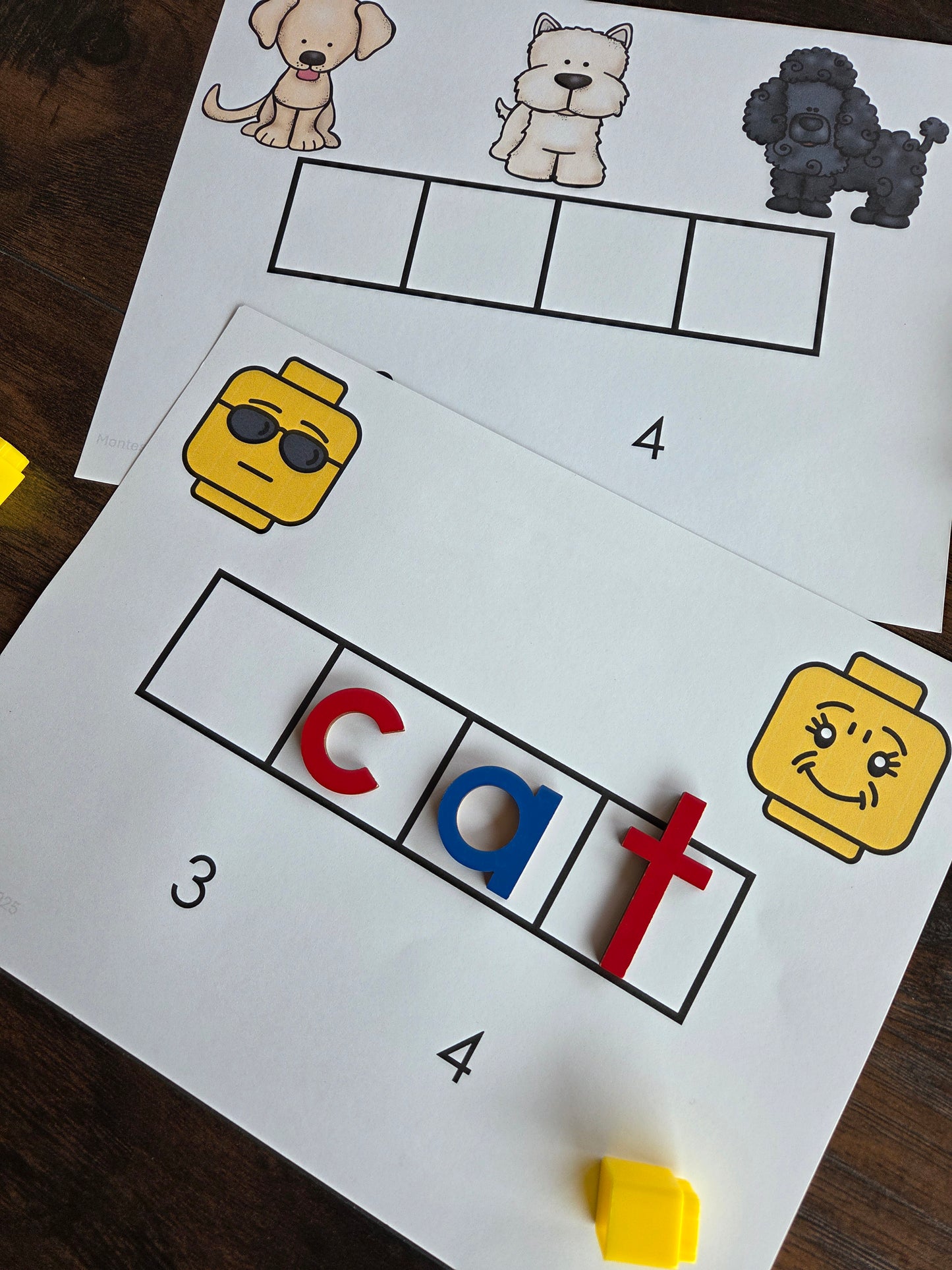 Modern Montessori Reading: Sound Boxes for segmenting words into individual sounds CVC Words (literacy) (Subscription)