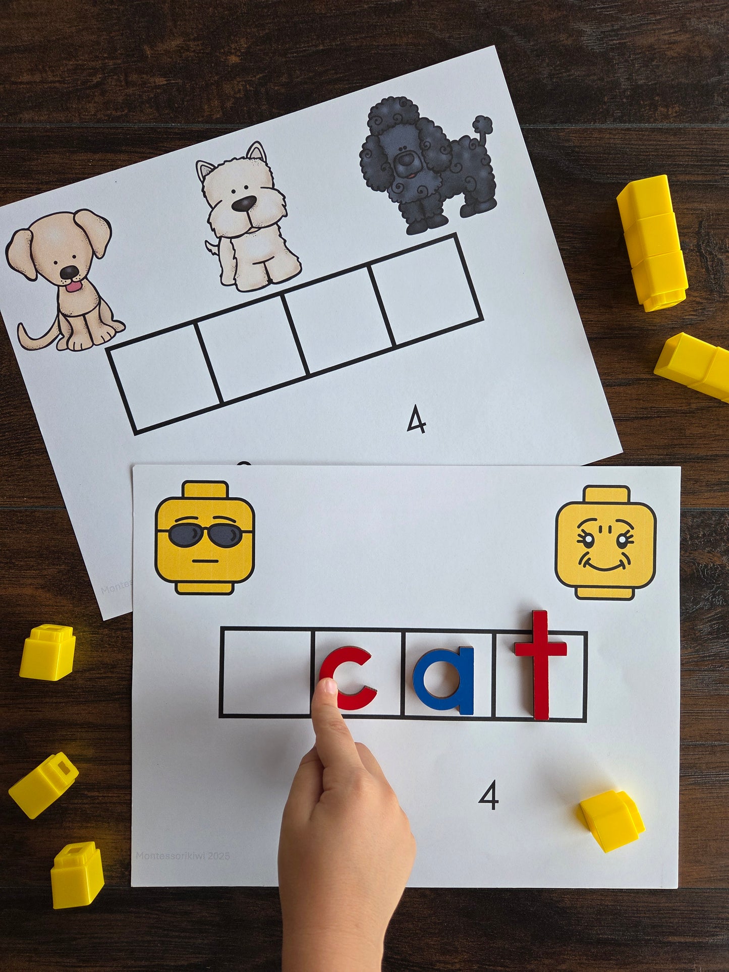 Modern Montessori Reading: Sound Boxes for segmenting words into individual sounds CVC Words (literacy) (Subscription)
