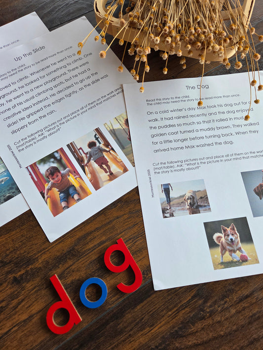 Modern Montessori Reading: Picturing Stories (literacy)