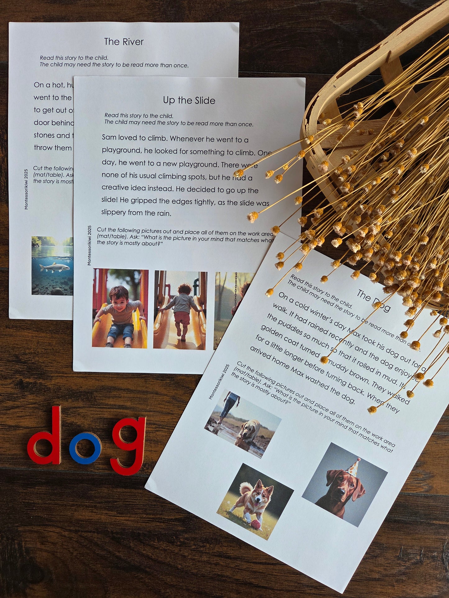 Modern Montessori Reading: Picturing Stories (literacy)