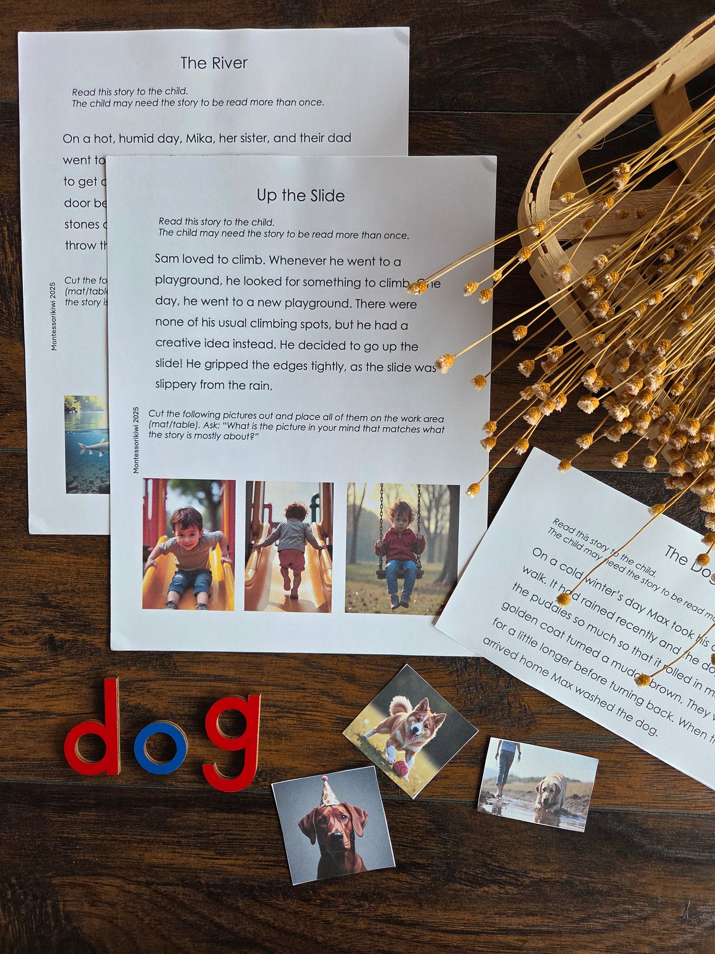Modern Montessori Reading: Picturing Stories (literacy)