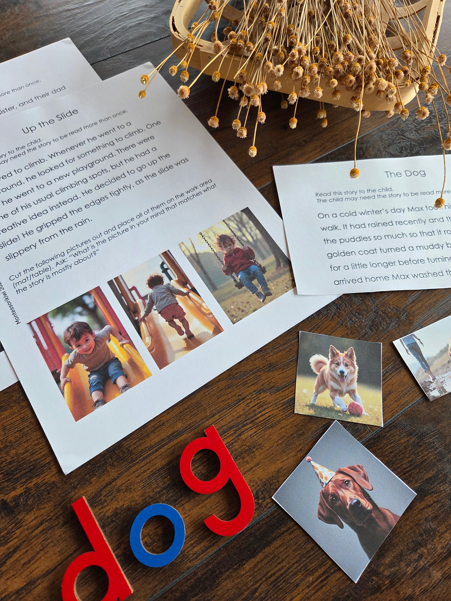 Modern Montessori Reading: Picturing Stories (literacy)
