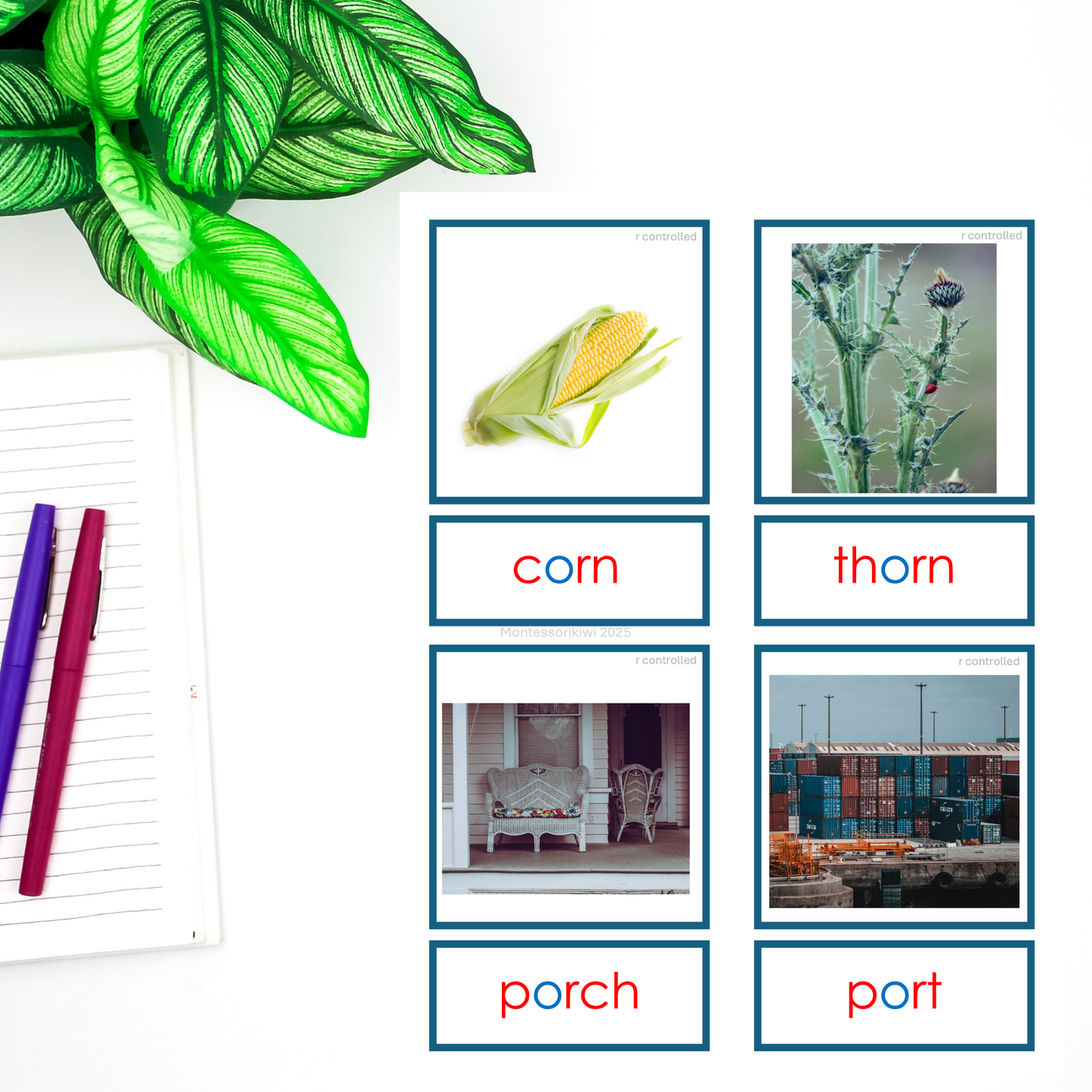 Modern Montessori Reading: Vowel r picture matching cards
