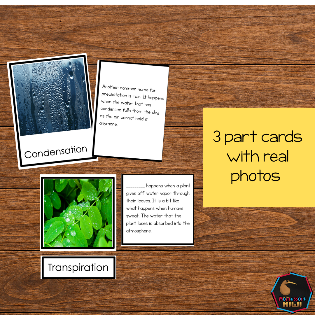 Montessori Water Cycle 4 Part Cards | Water Cycle Science Printable