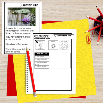 Montessori Plant Needs Research Pack (Ages 7–11) – Guided Writing Frames for Independent Science Learning