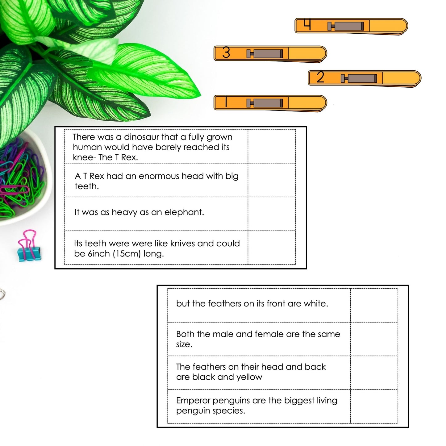 Modern Montessori Reading: Sequence sentences into a story