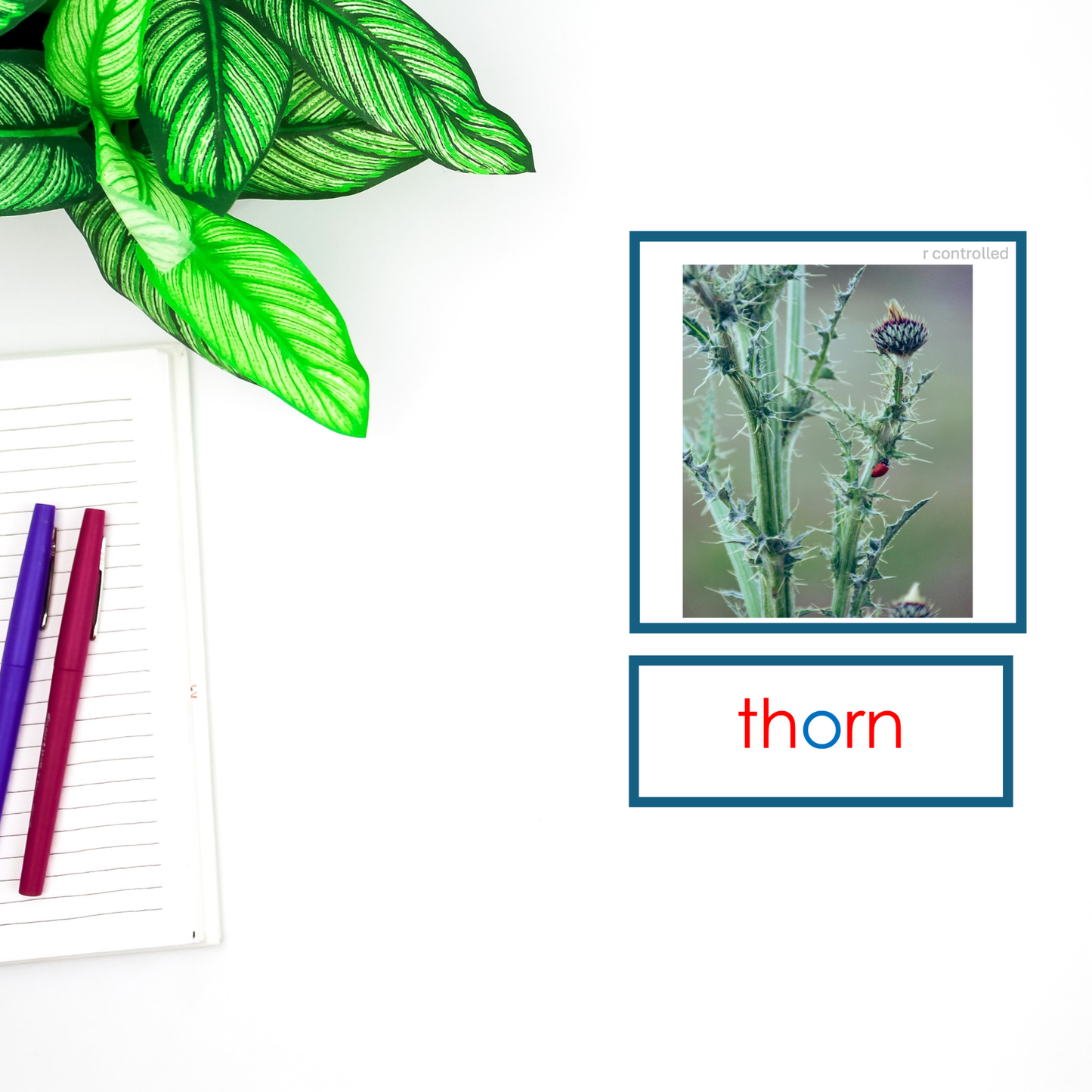 Modern Montessori Reading: Vowel r picture matching cards