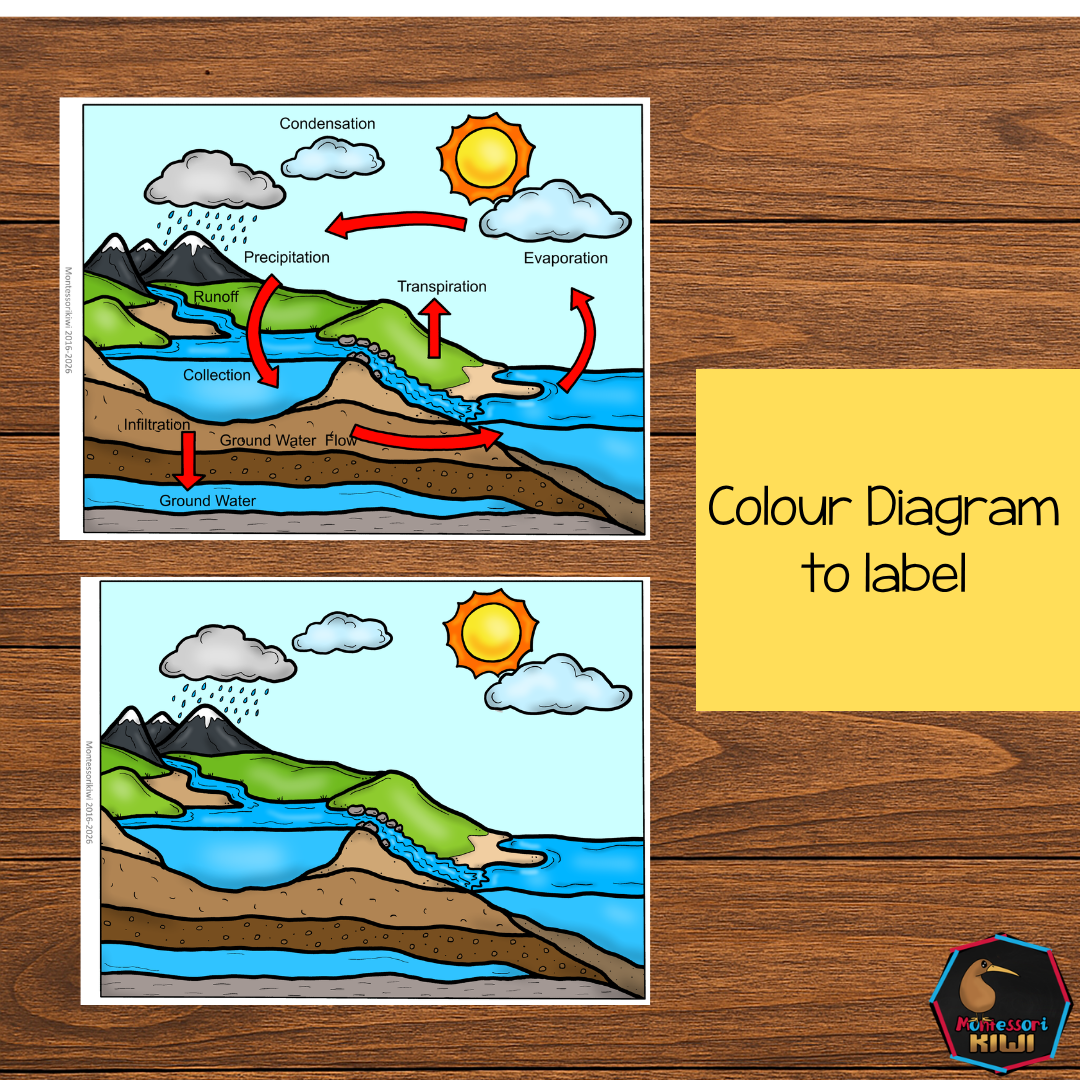 Montessori Water Cycle 4 Part Cards | Water Cycle Science Printable