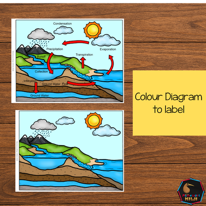 Montessori Water Cycle 4 Part Cards | Water Cycle Science Printable