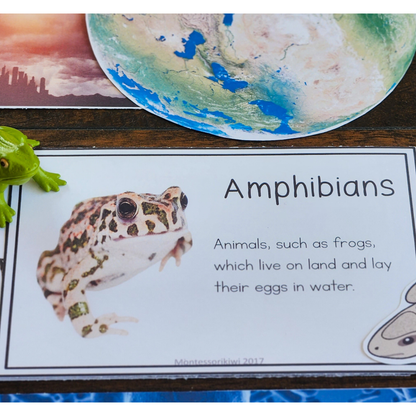 Montessori Great Stories Vocabulary Bundle | Complete Materials for All 5 Great Lessons