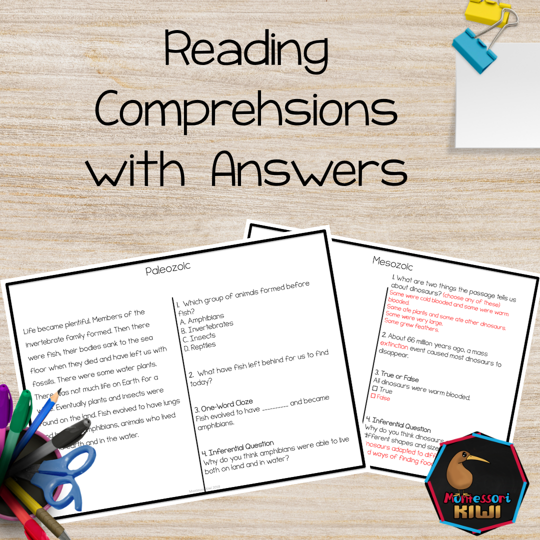 Montessori Clock of Eras Reading Comprehension | Timeline of Life Cloze Activity