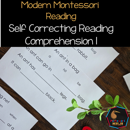 Modern Montessori Reading SOR simple reading comprehension fill in gaps  (literacy)