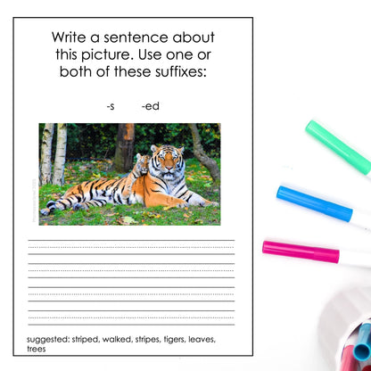Individualised Montessori Inspired Homeschool Literacy Support: 1 SCHOOL TERM 1 CHILD