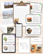 Montessori Silk Road Study (Ages 8–12) – Explore Trade, Culture & History Through Engaging Activities