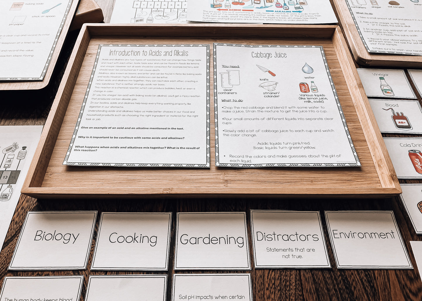 Acids and Bases pH introduction for Montessori (science)