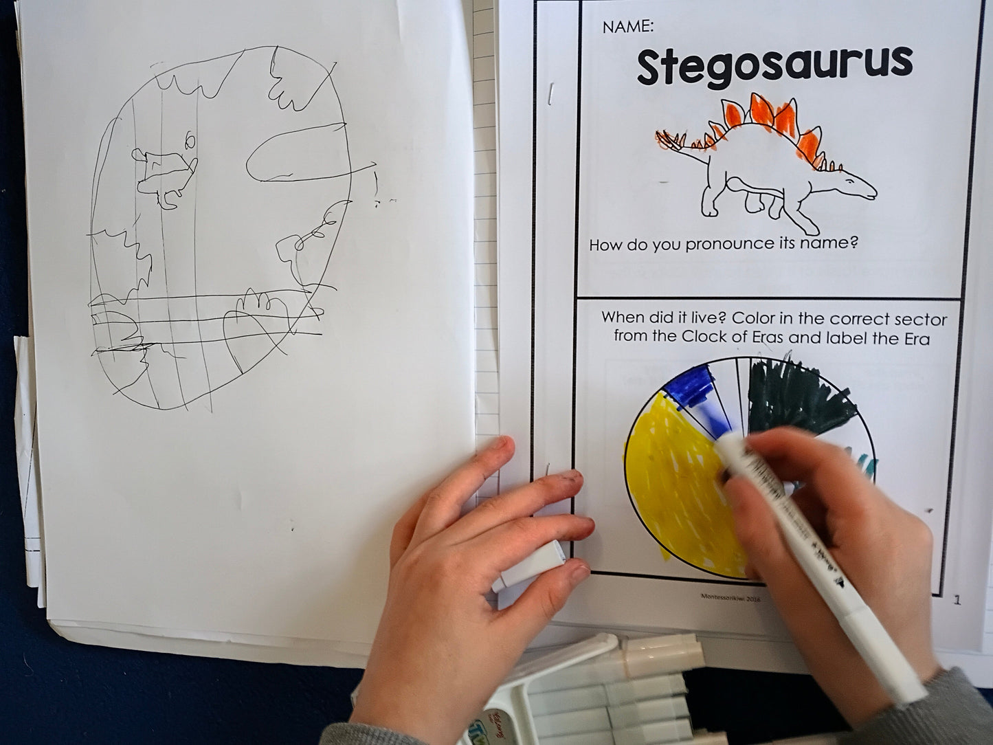 Child using Montessori early life research journals