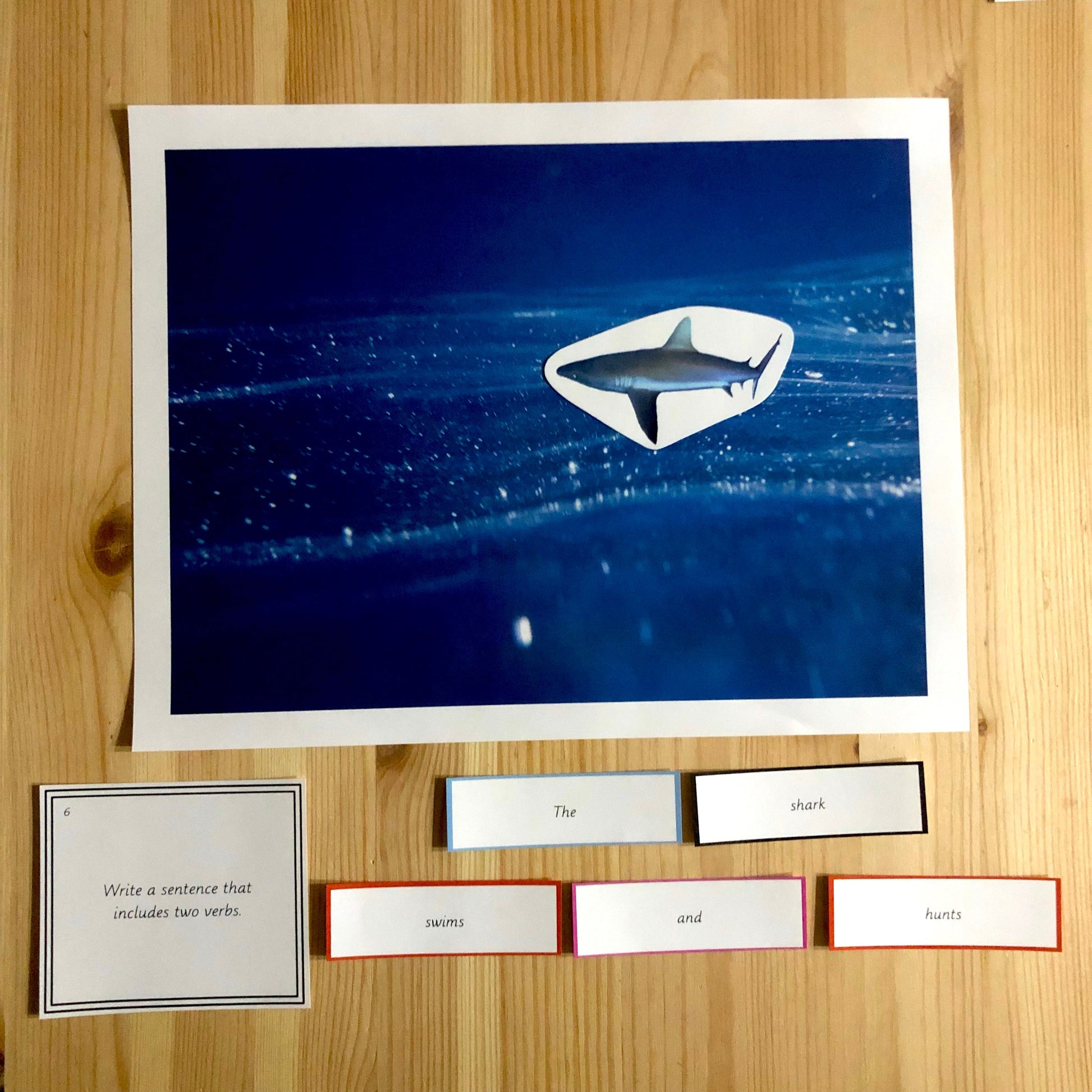 Montessori Miniature Environment: Ocean  (literacy) - subscription - montessorikiwi