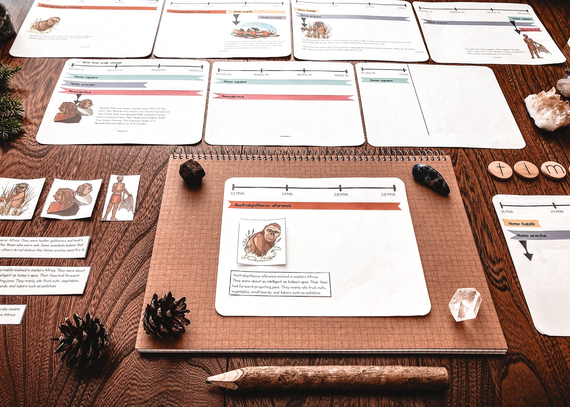 Timeline of early Hominins (cosmic) (subscription) - montessorikiwi