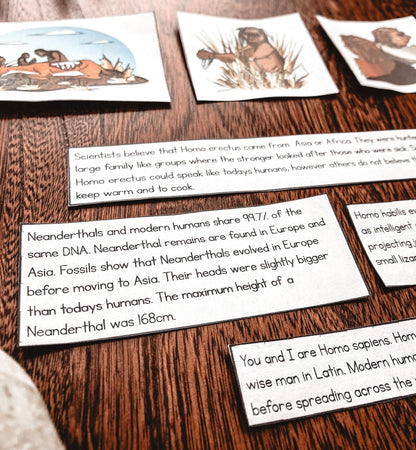 Timeline of early Hominins (cosmic) (subscription) - montessorikiwi