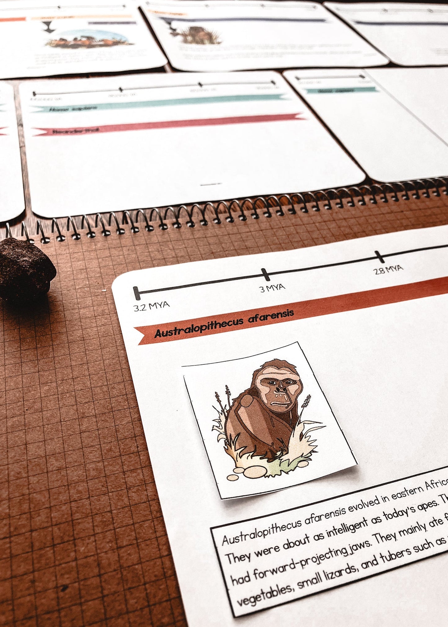 Timeline of early Hominins (cosmic) (subscription) - montessorikiwi