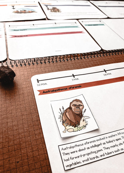 Timeline of early Hominins (cosmic) (subscription) - montessorikiwi