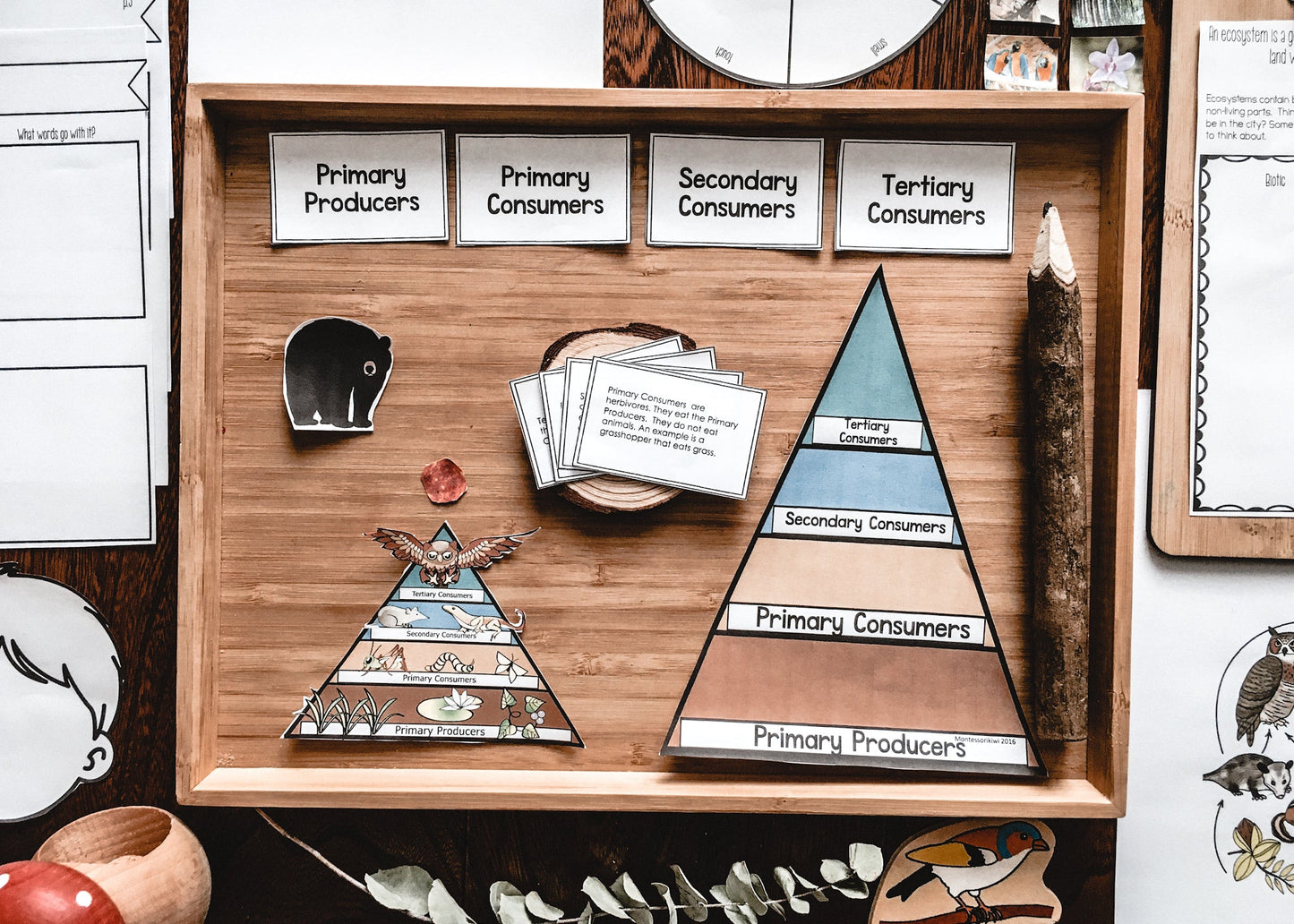 Trophic Pyramid: herbivores, omnivores and carnivores (subscription) - montessorikiwi