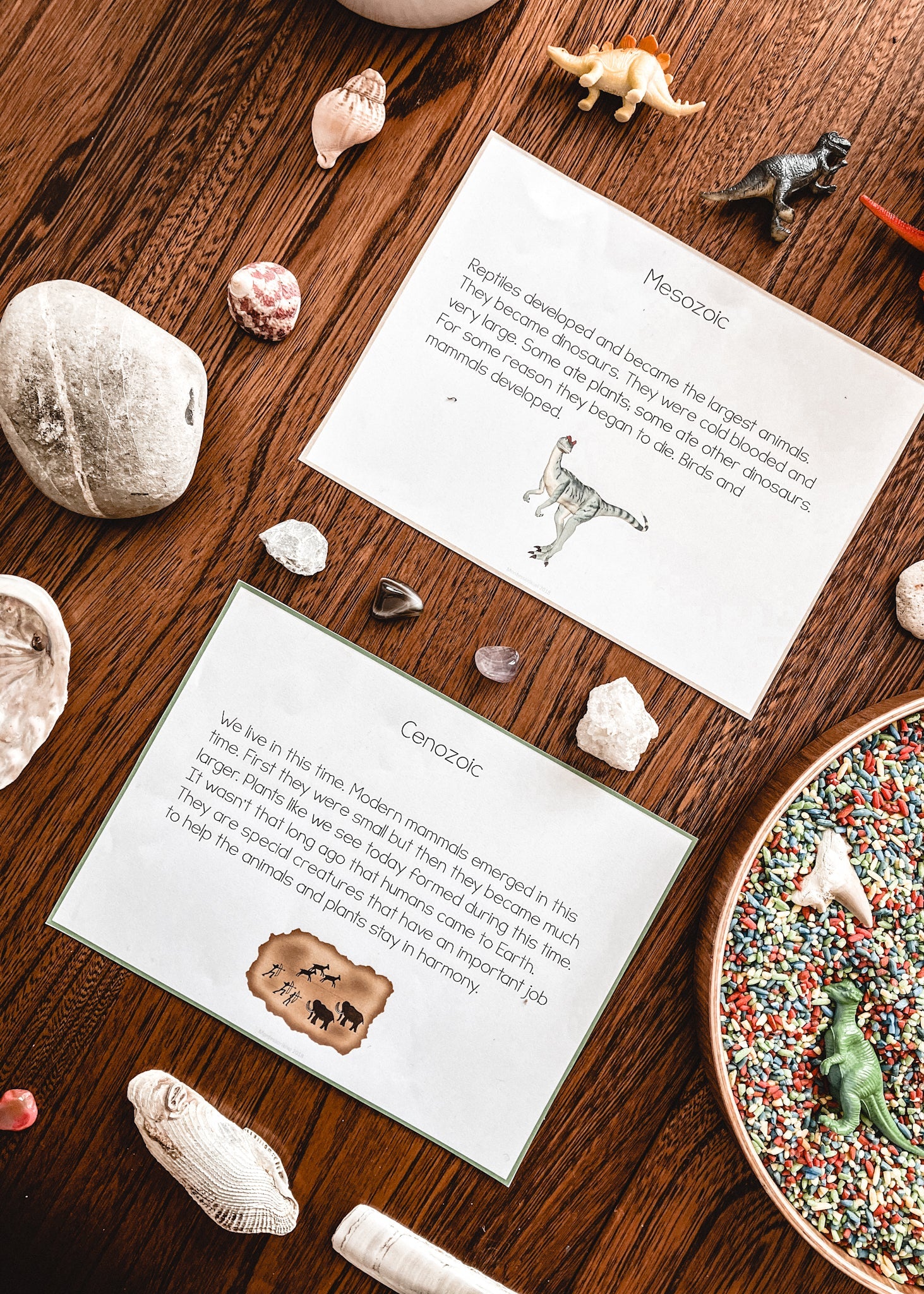Clock of Eras paragraphs and cloze work (cosmic) - subscription - montessorikiwi