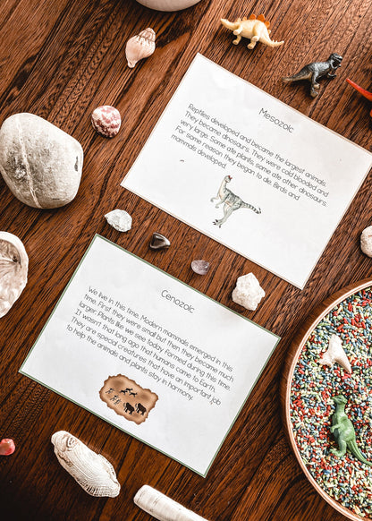 Clock of Eras paragraphs and cloze work (cosmic) - subscription - montessorikiwi
