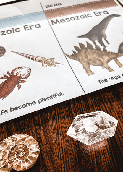 Montessori Clock of Eras timeline of life (cosmic) - montessorikiwi