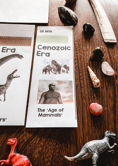 Montessori Clock of Eras timeline of life (cosmic) - montessorikiwi