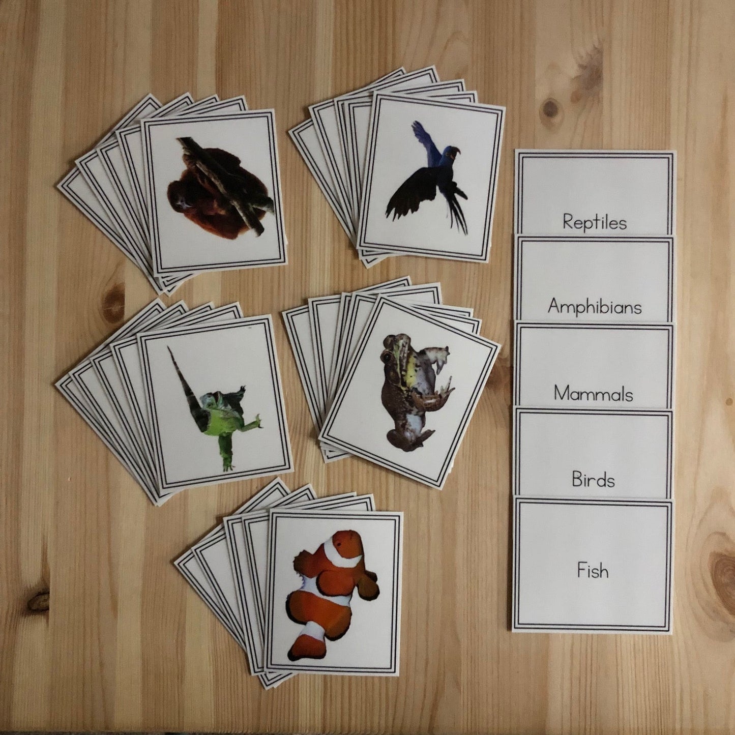 Vertebrate Sorting Activity (subscription) - montessorikiwi
