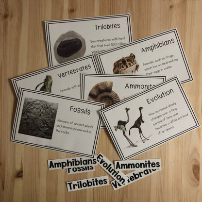 Vocab words for Second Great Story (cosmic) (subscription) - montessorikiwi