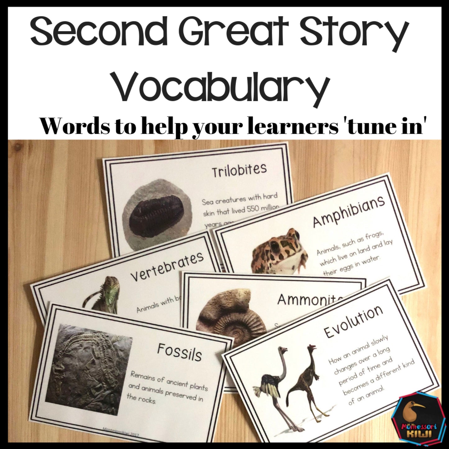 Vocab words for Second Great Story (cosmic) (subscription) - montessorikiwi