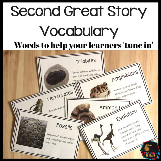 Vocab words for Second Great Story (cosmic) (subscription) - montessorikiwi