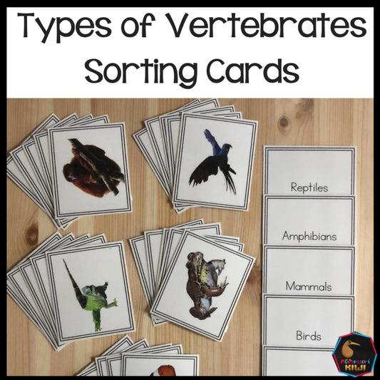 Vertebrate Sorting Activity (subscription) - montessorikiwi