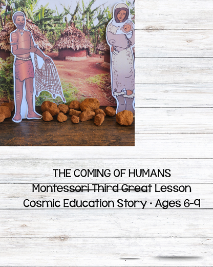 Montessori Third Great Story Bundle – Cosmic Education Resource for Elementary Montessori